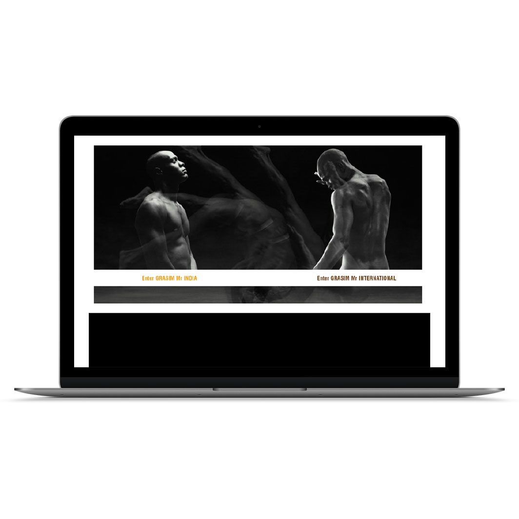 Grasim Mr.India , Websites